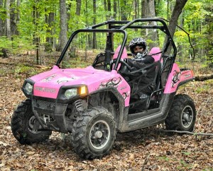 Pink Polaris RZR