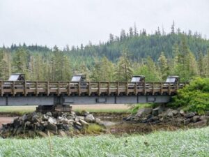 Rhinos Crossing Bridge in the Iris Meadows Estuary