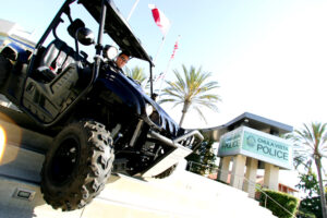 Yamaha Rhino in Chula Vista