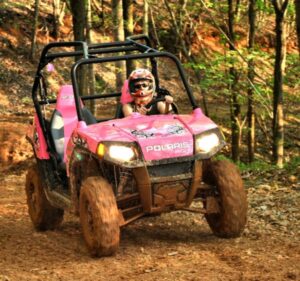 2009 Polaris RZR LE 2009 Polaris RZR LE