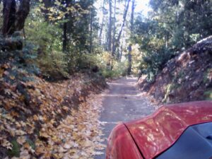 driveway1