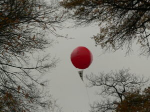Find these Balloons