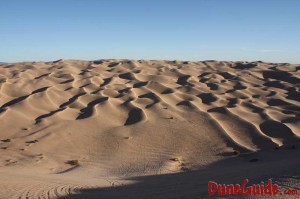 Imperial Sand Dunes Recreation Area
