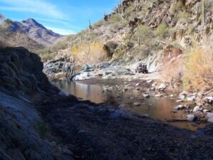 20145_1275384815220_1547946514_30704448_945724_n