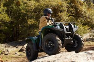 Yamaha Grizzly