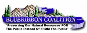 blueribbon-coalition-logo