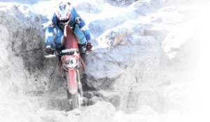 king of the motos