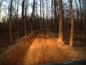 Auburn Trails