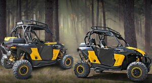 Blingstar_maverick 1